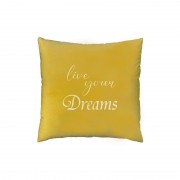 P204 - Live your Dreams