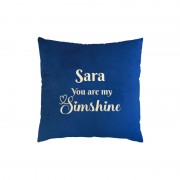 I601 - You are my Sunshine