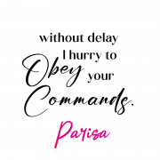 P11960 - Obey your commands
